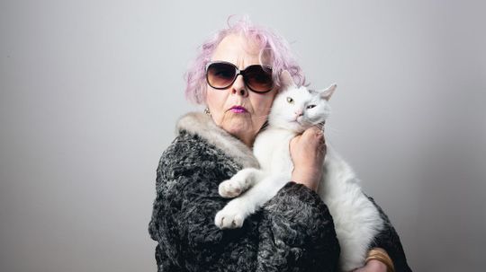 Can We Really Guess Your Cat's Name in Only 30 Questions?