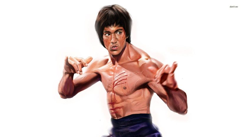 Bruce Lee The Legend