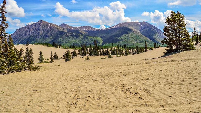 Carcross Desert