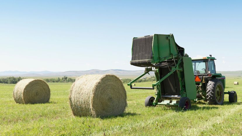 Baler wheat