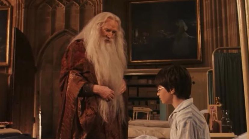 Dumbledore and Harry