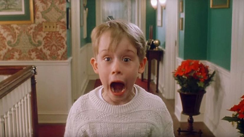 Which "Home Alone" Character Are You?