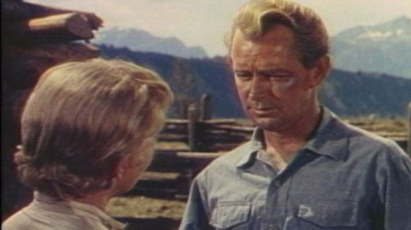 5 Alan_Ladd_in_Shane