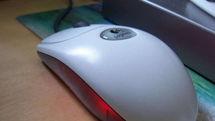 Computer Mouse