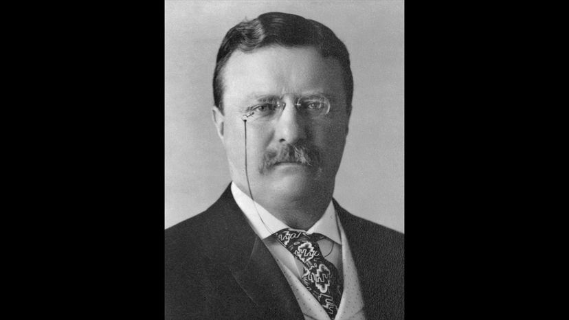 Theodore Roosevelt