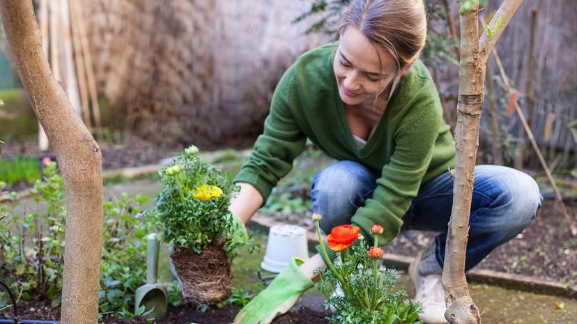 Woman planting flowers in her backyard