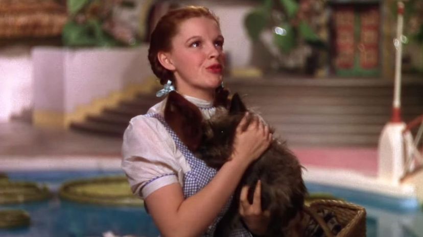 9 - Dorothy with Toto