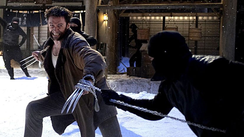 The Wolverine 1