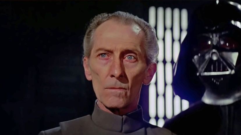 24.) Grand Moff, Tarkin