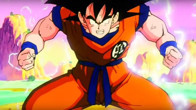 Q 05 Goku Fight
