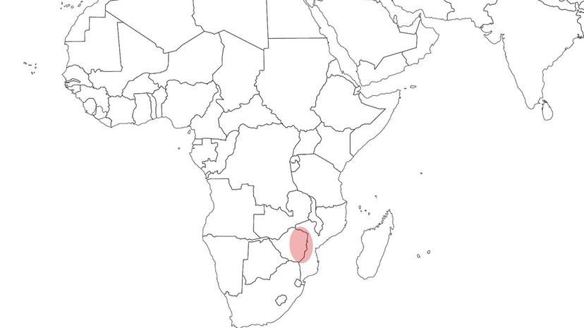 37 Zimbabwe Mozambique