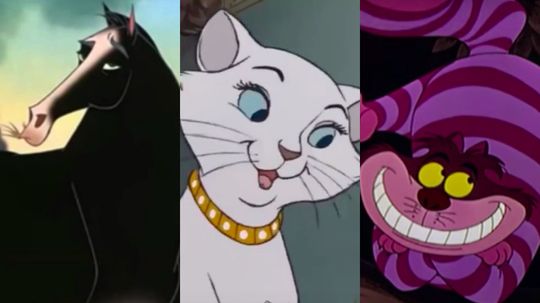 Which Disney Animal Is Your Pet Most Like?