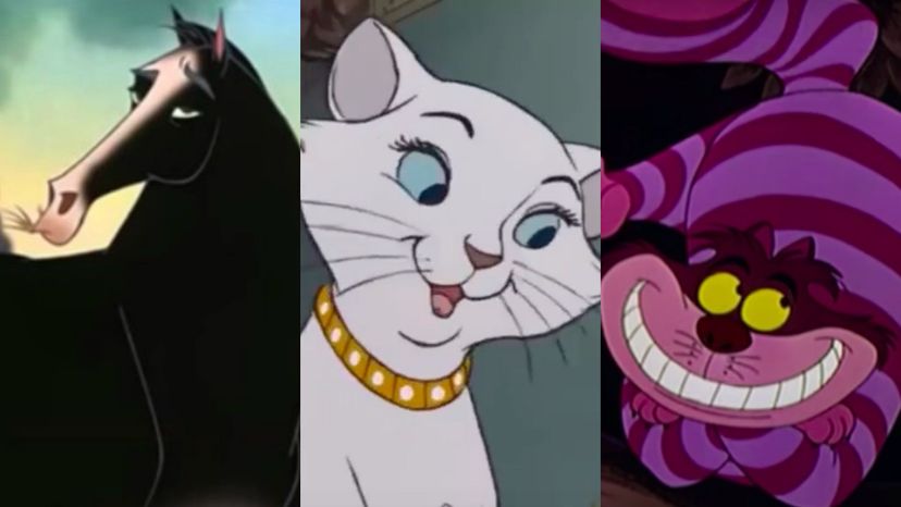 Which Disney Animal Is Your Pet Most Like?
