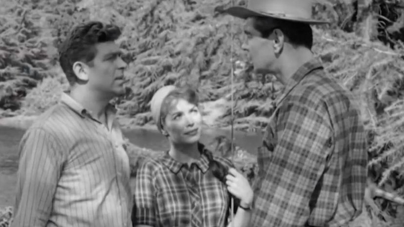 the andy griffith show