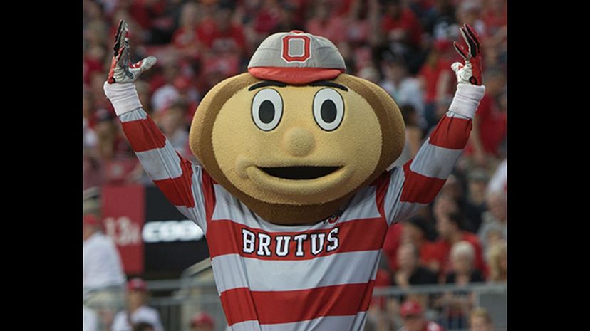 Brutus the Buckeye