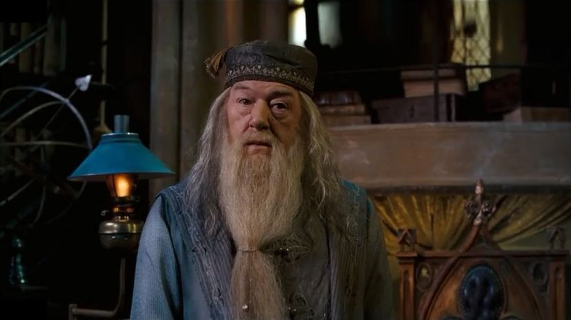 Fill In the Blank: Magical Words of Wisdom From Albus Dumbledore!