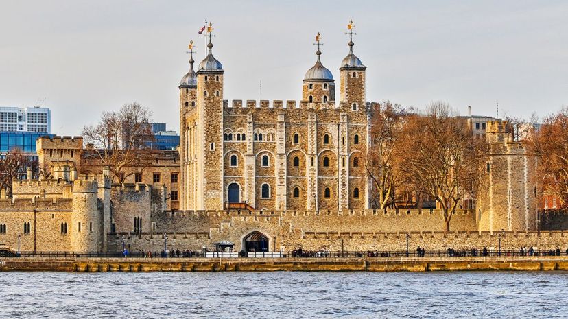 Royal 23