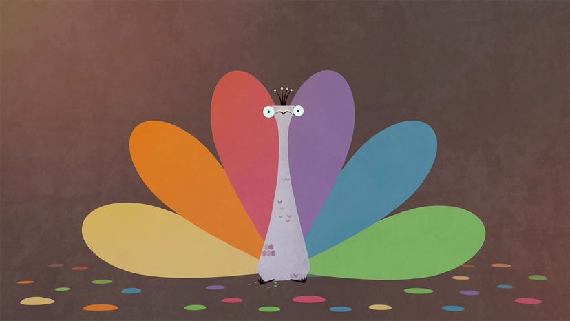 NBC (NBC Peacock)