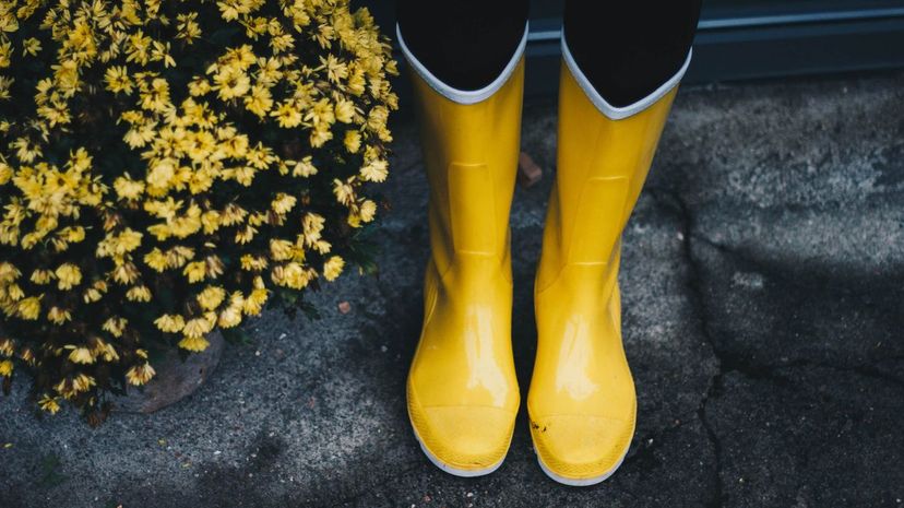 Yellow Rainboots