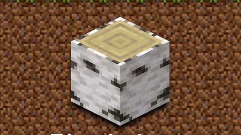 Birch Log Minecraft