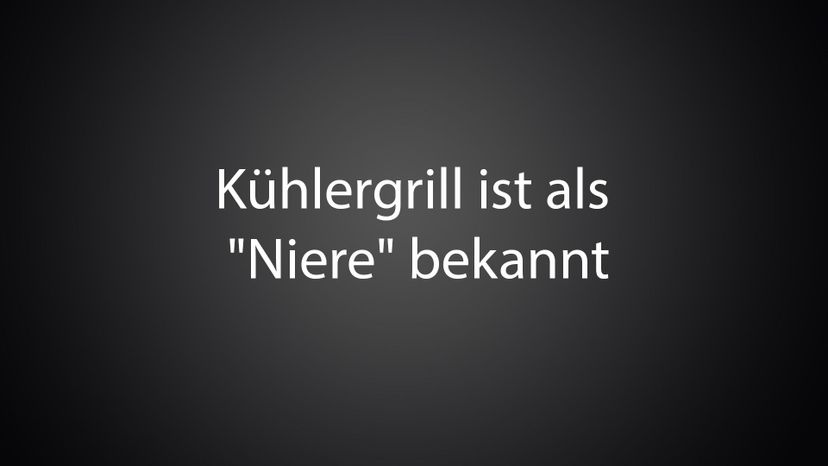 KuÌˆhlergrill ist als &quot;Niere&quot; bekannt 