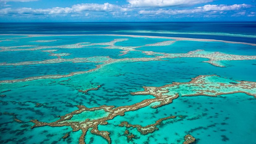 Great Barrier Reef