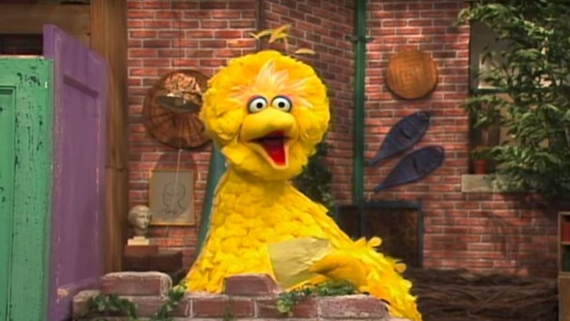 Big Bird