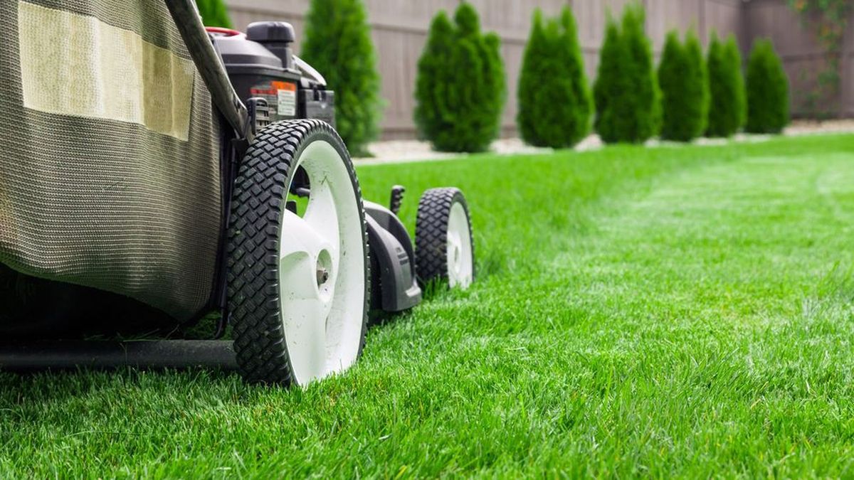 How Much Do You Really Know About Lawn Care Fundamentals HowStuffWorks