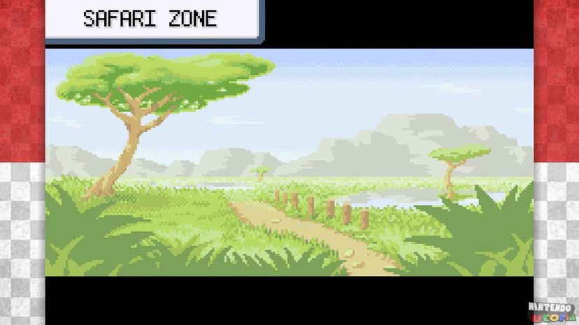 12 safari zone