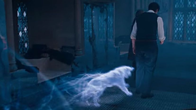 Ron Weasley's patronus