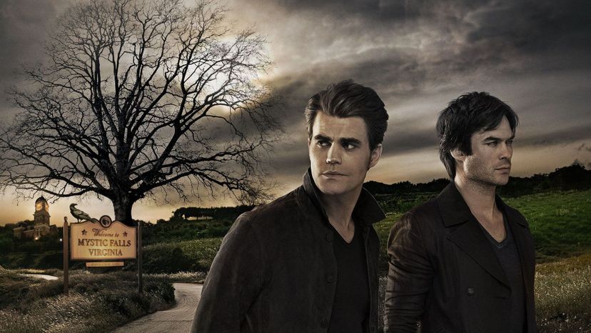 The Salvatore Brothers - The Vampire Diaries