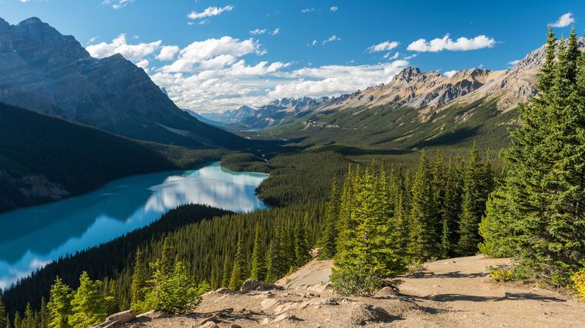 Which Canadian National Park Are You?