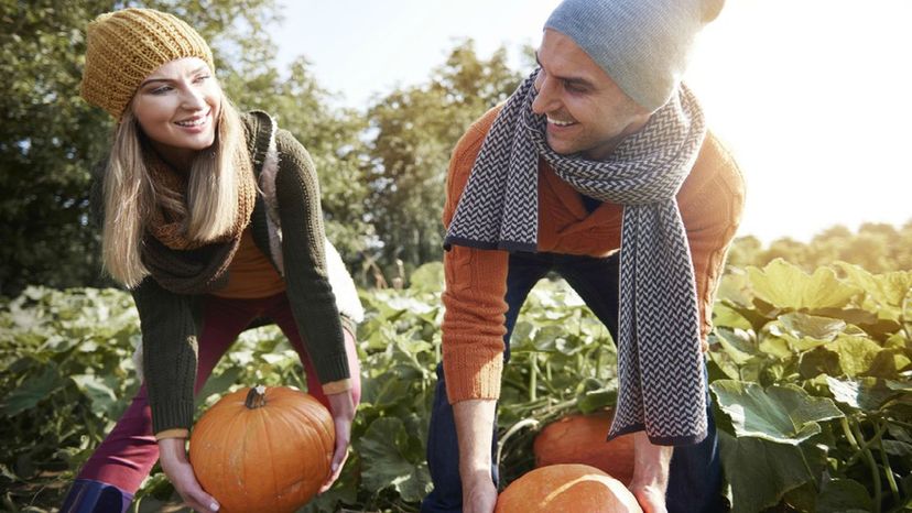 Build a Cute Fall Outfit and We'll Tell You What Fall Haircut to Get!!!