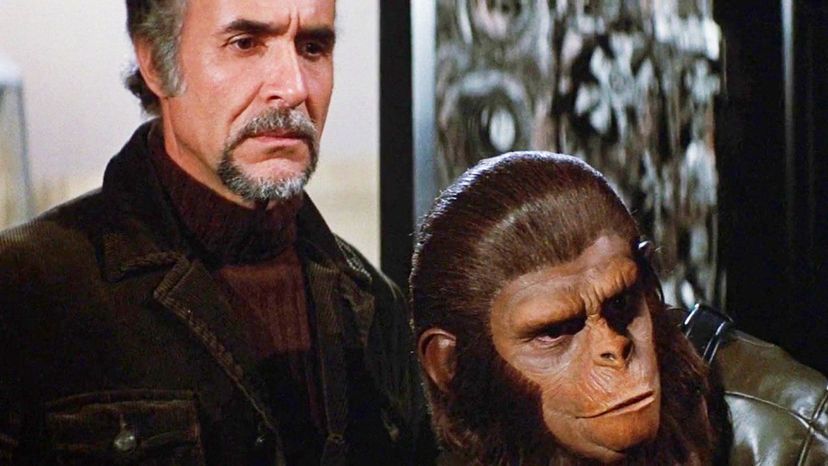 Conquest of the Planet of the Apes (1972)_4