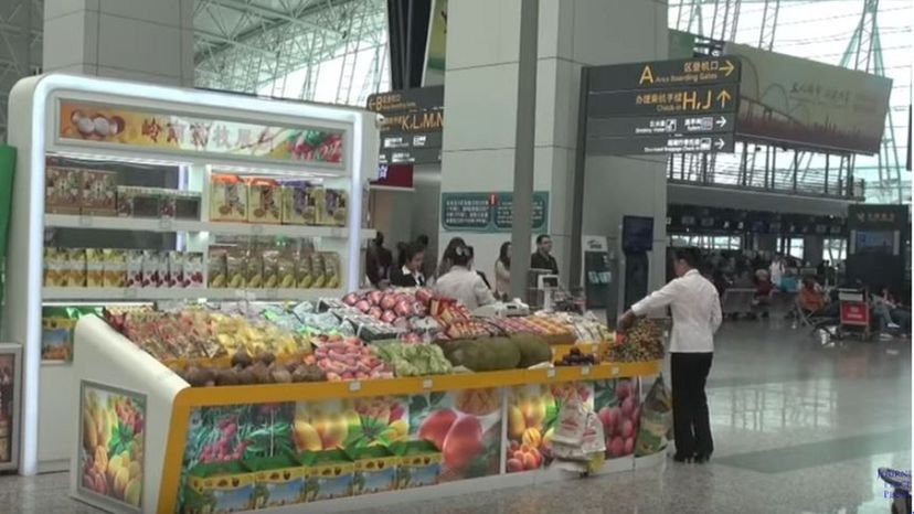 Guangzhou Baiyun International Airport