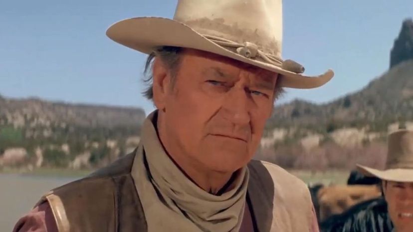 What Percentage of John Wayne Are You?