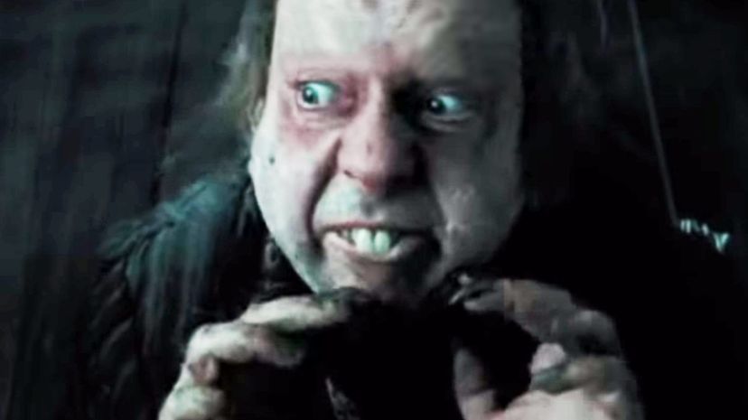 Peter Pettigrew