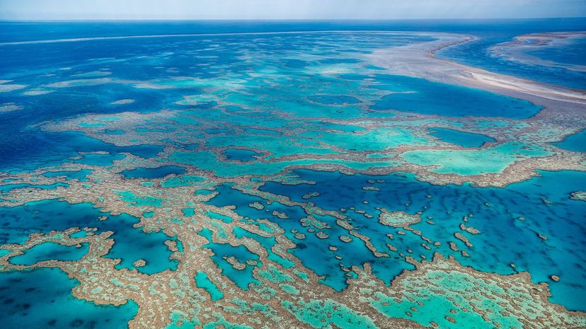 13 Great Barrier Reef Marine Park GettyImages-582030719