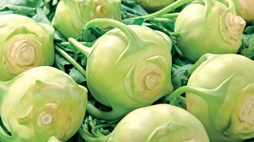 Kohlrabi