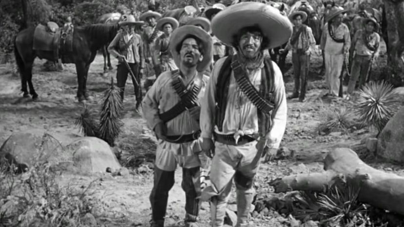 Q 29 The Treasure of the Sierra Madre