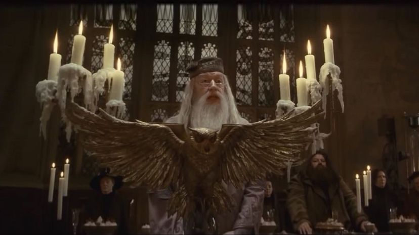 Albus Dumbledore17