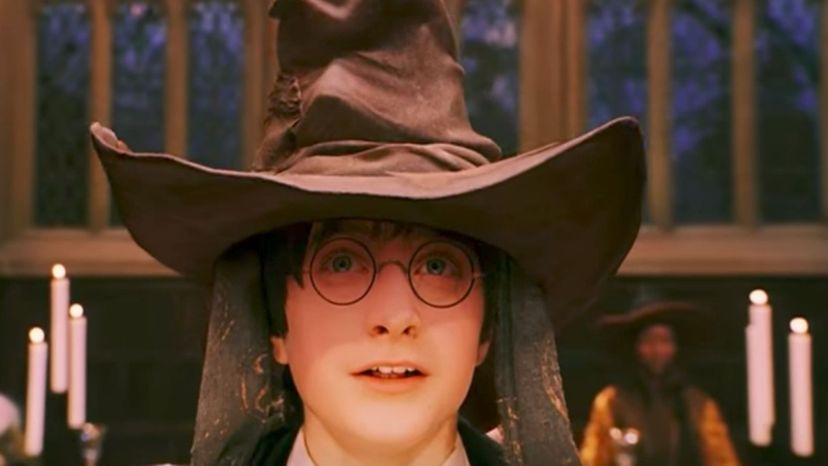 You Won't Believe Which Hogwarts House You Actually Belong In!