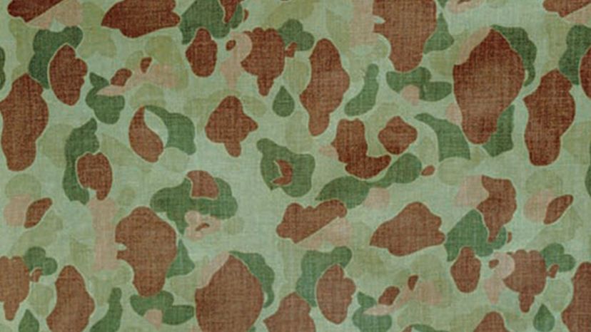 Frog Skin camouflage