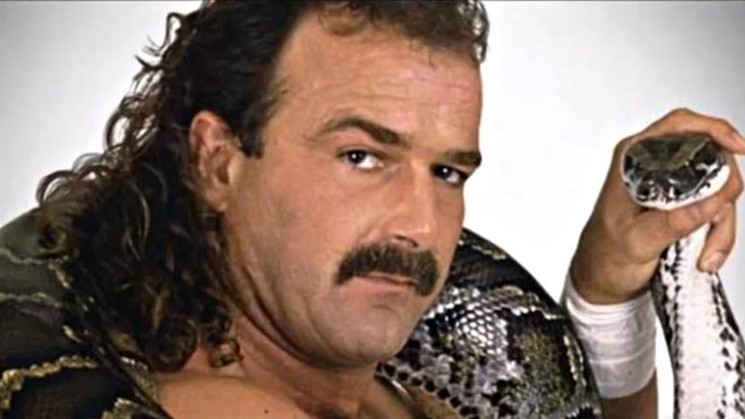 Jake The Snake Roberts