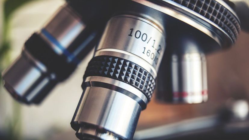 Laboratory microscope