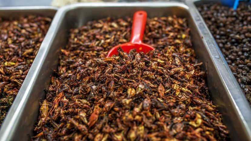 Chapulines