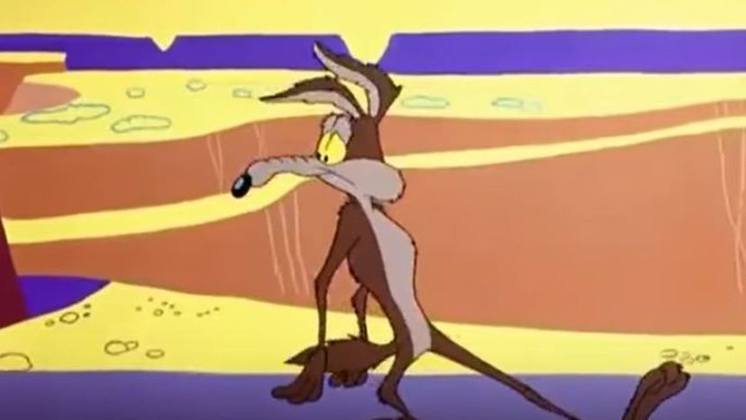 Wile E Coyote