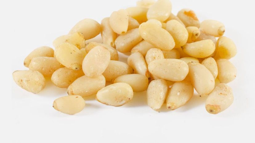 Pine Nut