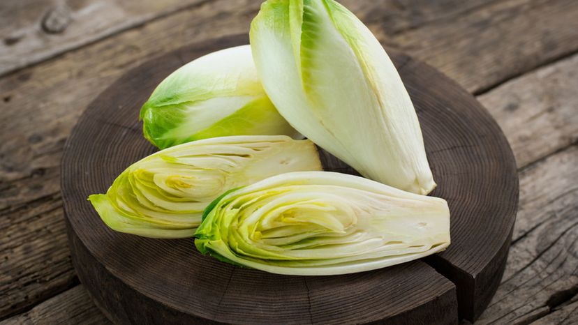 Endive