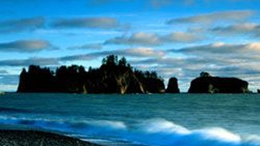 The Ultimate Olympic National Park Quiz